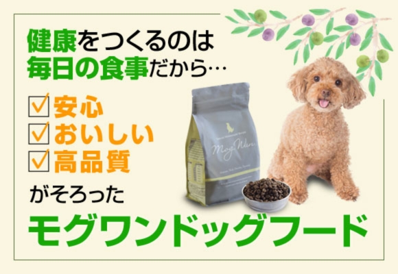 モグワン肝臓